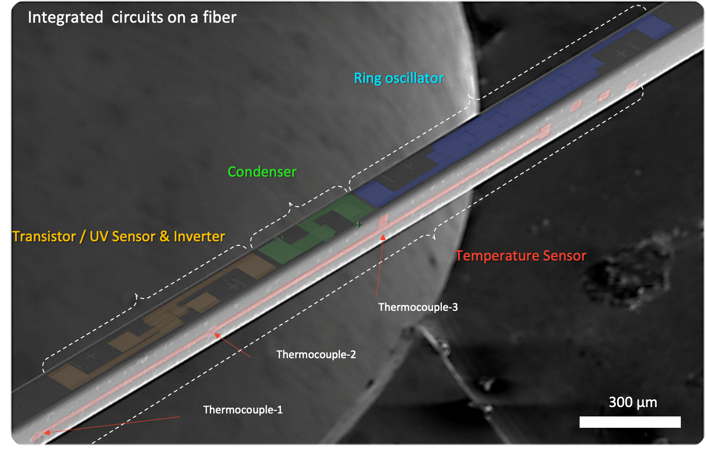 Multiple electronic components and integrated circuits fabricated along a microfibre