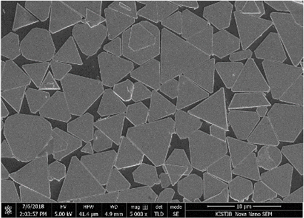 Scanning electron micrograph of densely packed copper nanosheets