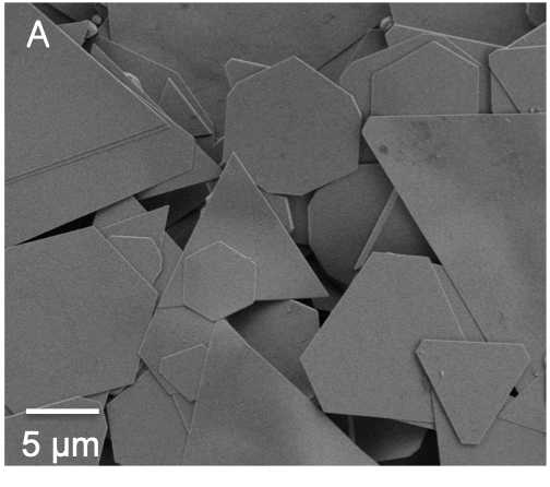Scanning electron microscopy image of single-crystalline copper nanosheets