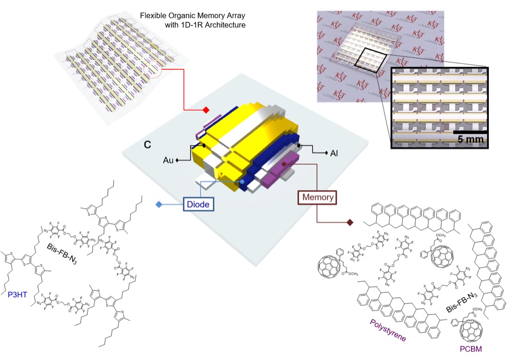 Flexible and twistable organic memory device