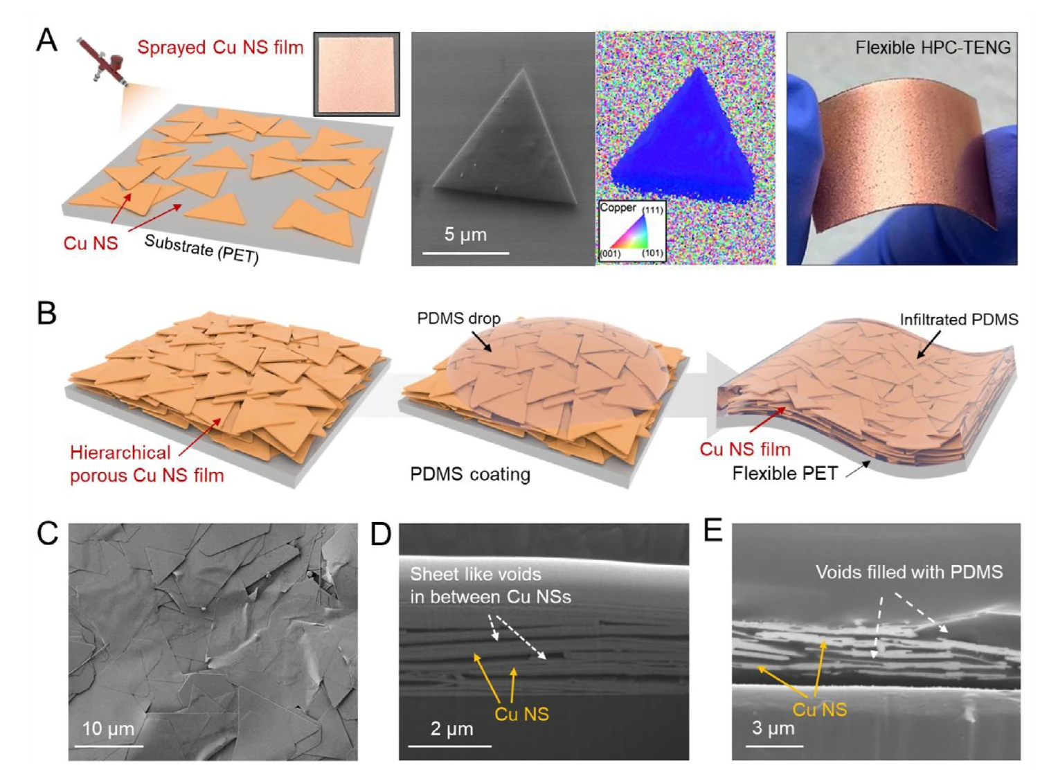 Fabrication and structure of a hierarchical porous copper nanosheet film