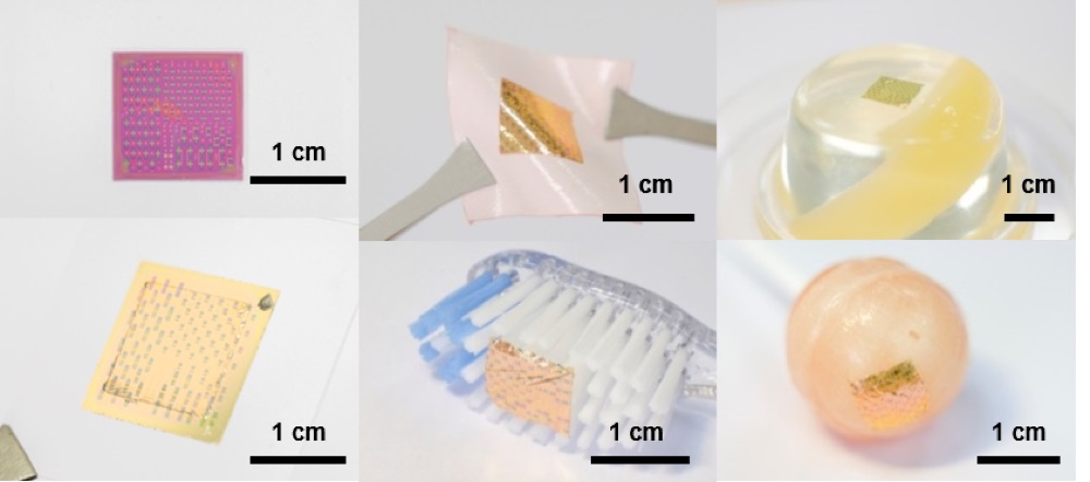 Ultrathin ferroelectric organic neuromorphic transistor
